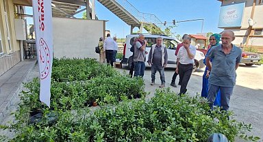 Rize'de 9 bin 500 maviyemiş fidanı üreticilere dağıtıldı