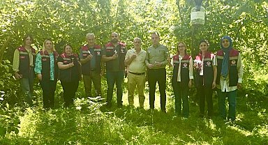 Rize'de kahverengi kokarcaya karşı 50 bin adet samuray doğaya salındı