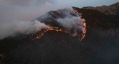 Rüzgara karşı mücadele veren ateş savaşçıları 500 hektar ormanı yanmaktan kurtardı
