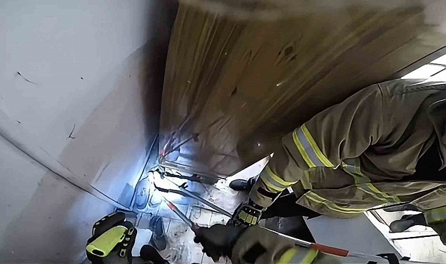 Safranbolu'da ayakkabılıkta zehirli engerek paniği