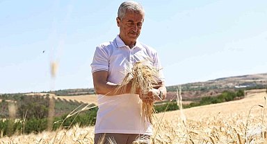 Şahinbey Belediyesi'nin dağıttığı arpalarda hasat sevinci yaşanıyor