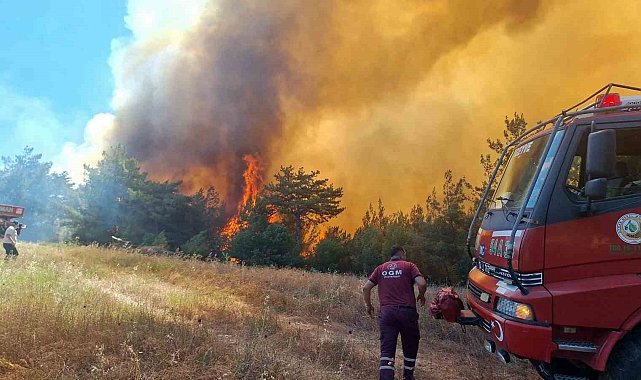 Sakarya Valiliği'nde orman yangınına ilişkin açıklama