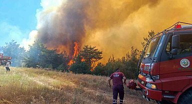 Sakarya Valiliği'nde orman yangınına ilişkin açıklama