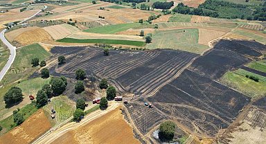 Sakarya'da 150 dönümlük tarım arazisi kül oldu