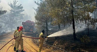 Sakarya'da başlayan orman yangını Osmaneli'ne de sıçradı