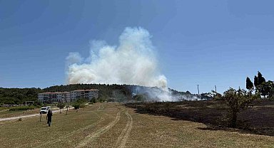 Sakarya'da depoda çıkan yangın ormana sirayet etti