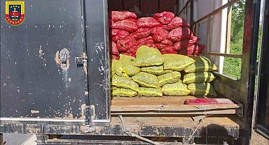 Sakarya'da midye vurgunu: Resmi evraksız 5 ton midyeye el kondu