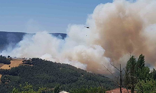 Sakarya'da orman yangını: Bölgeye çok sayıda ekip sevk edildi