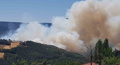Sakarya'da orman yangını: Bölgeye çok sayıda ekip sevk edildi