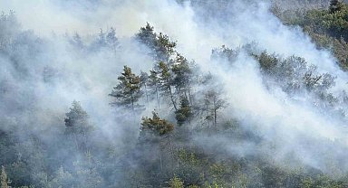 Sakarya'da ormanda yeniden yükselen alevlere havadan ve karadan müdahale edildi