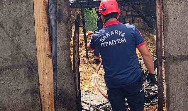 Sakarya'da samanlık ve ahırda çıkan yangında 24 civciv telef oldu