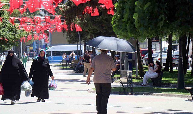 Sakarya'da sıcak hava bunalttı: Gölgelere kaçış başladı