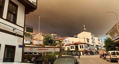 Sakarya'daki orman yangını nedeniyle Bilecik'te 1 köy boşaltılıyor