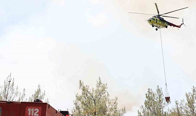 Sakarya'daki orman yangınında son durum: 2 mahallede tahliye işlemleri başladı