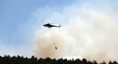 Sakarya'daki ormanlık alanda yangın: Havadan ve karadan müdahale ediliyor