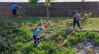 Sakarya'da 'Çark'ta hummalı temizlik