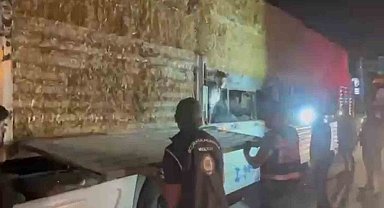 Saman balyalarının altına saklanan 31 kaçak göçmen yakalandı