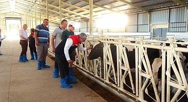 Samsun'da ari işletme sayısı 10'a yükseldi