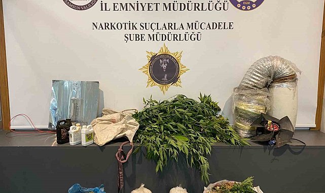 Samsun'da bayramda uyuşturucu operasyonları: 3 kilo metamfetamin ve skunk ele geçirildi