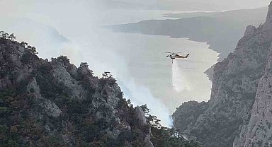 Samsun'da orman yangınlarına karşı sıkı önlem: Ormanlık alanlara girişler yasaklandı