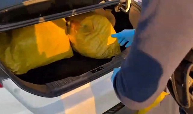 Şanlıurfa'da 35 kilogram skunk ele geçirildi: 1 gözaltı