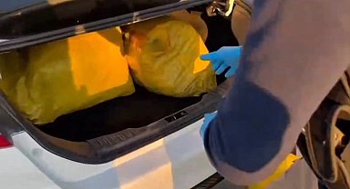 Şanlıurfa'da 35 kilogram skunk ele geçirildi: 1 gözaltı