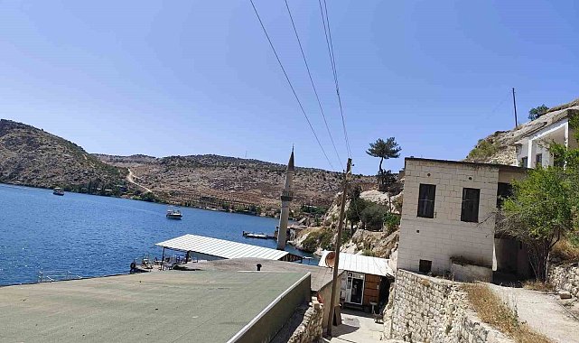 Şanlıurfa'da Afrika'yı aratmayan görüntü: Çizgili sırtlan kendisini görüntüleyenlere saldırdı