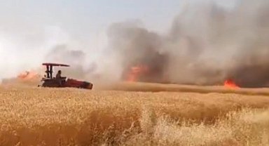 Şanlıurfa'da buğday tarlasında çıkan yangın kontrol altına alındı