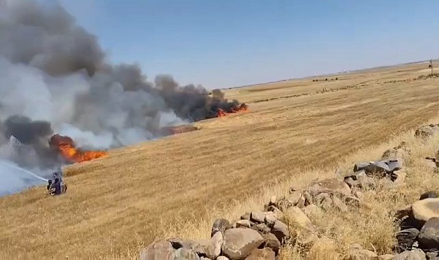 Şanlıurfa'da buğday tarlasında yangın: 1'i ağır 5 yaralı