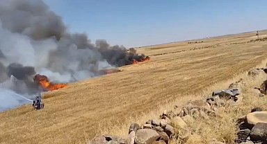 Şanlıurfa'da buğday tarlasında yangın: 1'i ağır 5 yaralı