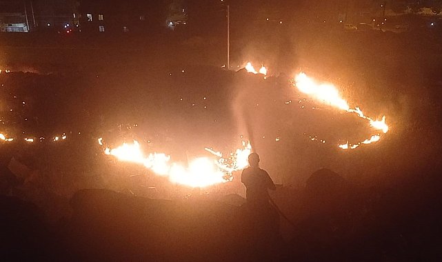 Şanlıurfa'da gece yarısı yangın paniği