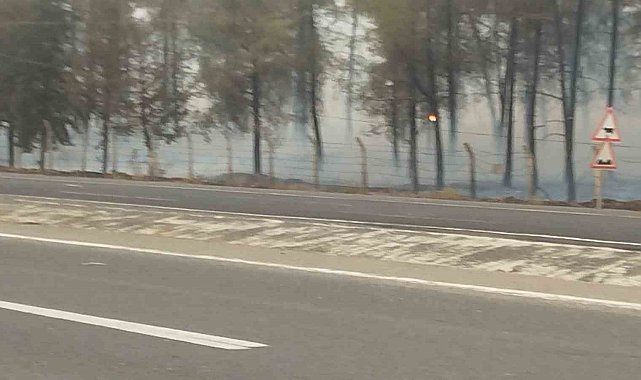 Şanlıurfa'da orman yangını: Alevlerin petrol istasyonuna sıçramaması için seferber oldular