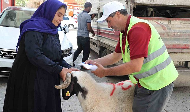 Şanlıurfa'da yetim ailelere canlı kurbanlık dağıtıldı