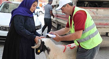 Şanlıurfa'da yetim ailelere canlı kurbanlık dağıtıldı