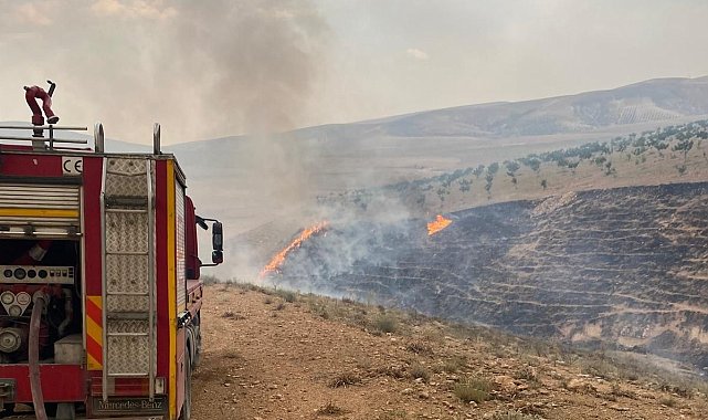 Şanlıurfa'daki orman yangınına havadan ve karadan müdahale ediliyor