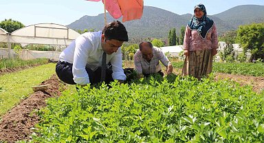 Sarıcakaya Kaymakamı kolları sıvayıp hasat için tarlaya girdi