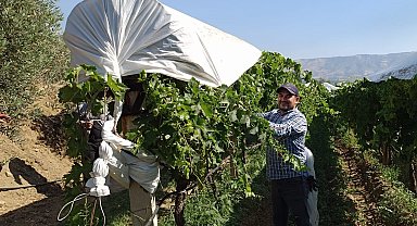 Sarıgöl'de örtü ekipleri işleri sıraya koydu