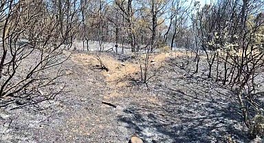 Şarköy'de çıkan orman yangını havadan ve karadan müdahaleyle kontrol altına alındı
