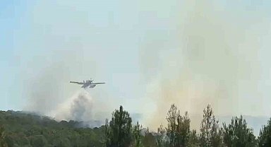 Şarköy'de ormanlık alanda çıkan yangına karadan ve havadan müdahale ediliyor