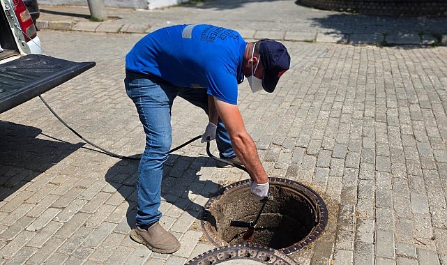 Şehri haşereler bastı, Efeler Belediyesi mücadele başlattı