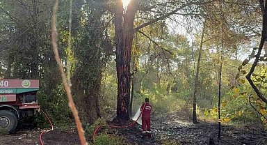 Serik'te sabah saatlerinde çıkan orman yangını söndürüldü