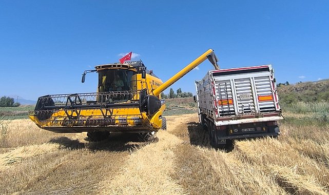 Seydişehir'de arpa hasadı başladı