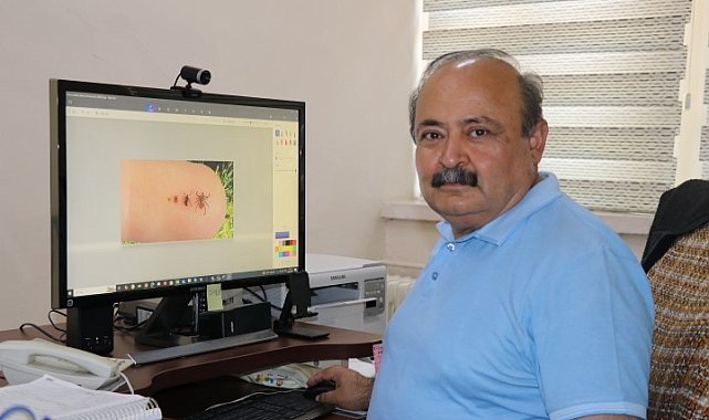 Sıcak hava keneleri harekete geçirdi: 1 kene, 10 bine yakın yumurta bırakabiliyor