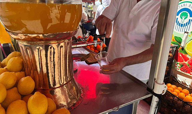 Sıcaklarla birlikte satışının da artması bekleniyor