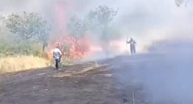 Siirt'te çay için yakılan ateş fıstık ağaçlarını küle çevirdi