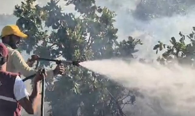 Siirt'te çıkan örtü yangını söndürüldü