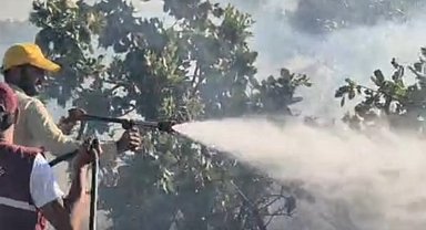 Siirt'te çıkan örtü yangını söndürüldü