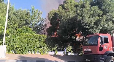 Siirt'te yanan işletme küle döndü