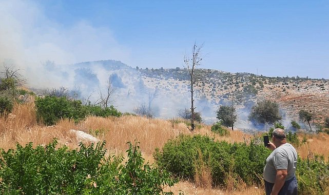 Silifke'de ağaçlık alanda çıkan yangın kontrol altına alındı