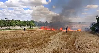 Silivri Çeltik Mahallesi'ndeki tarla yangını evlere ulaşmadan kontrol altına alındı